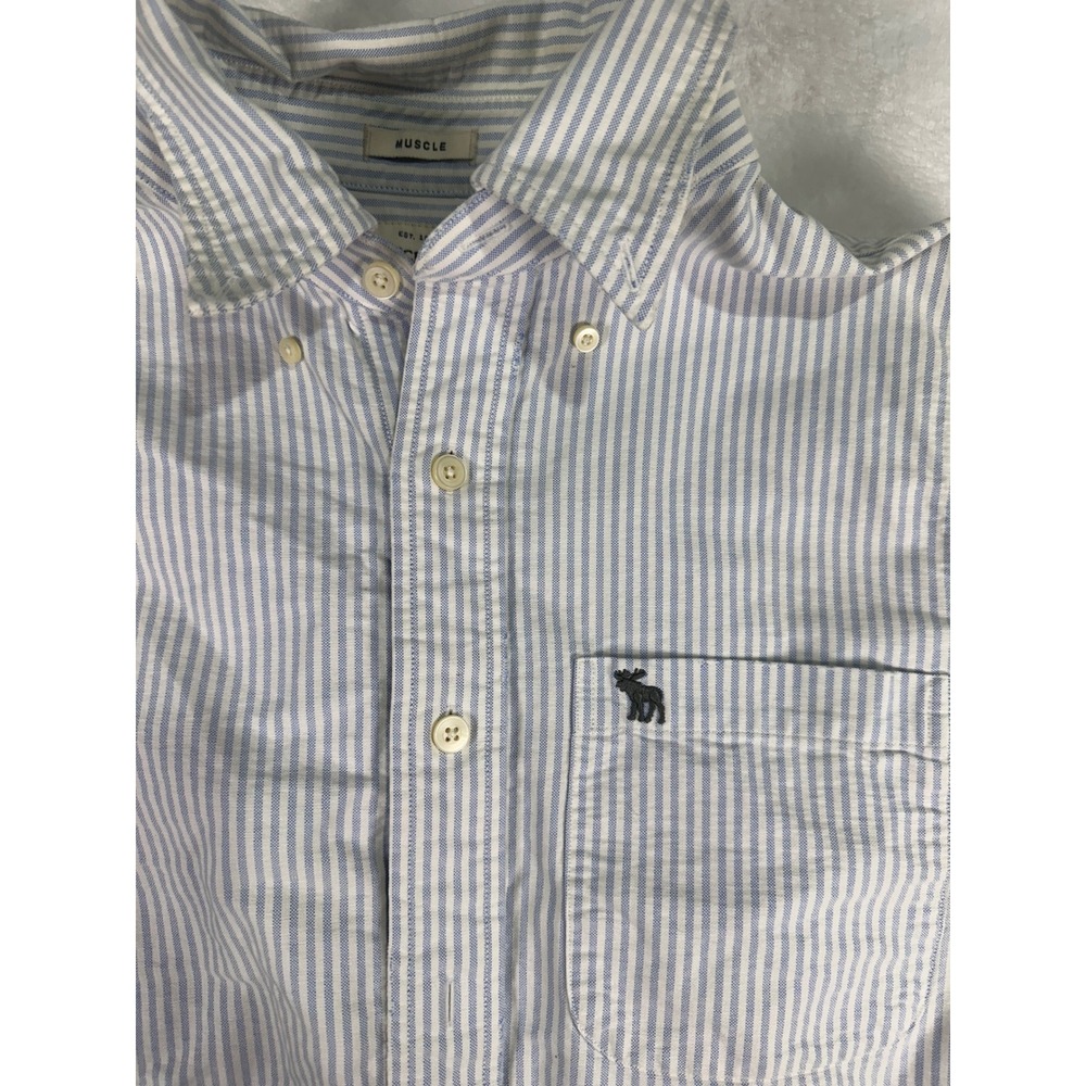 Abercrombie & Fitch Button Down Shirt‎ L Blue White Striped Muscle Y2K